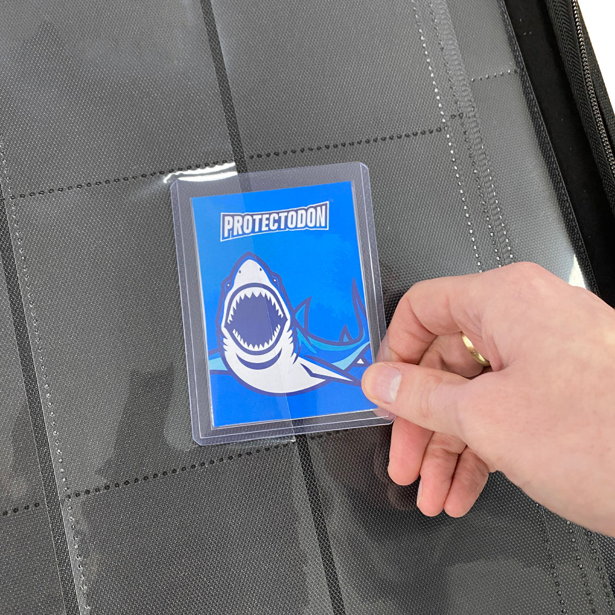 Protectodon binder open showing toploader cards